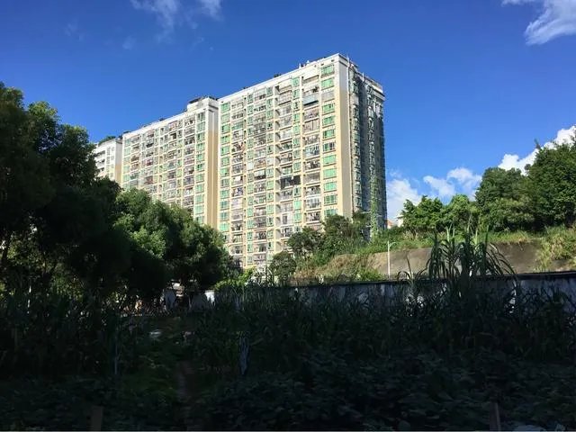 一个家庭如果没有房子，一直租房会幸福吗？