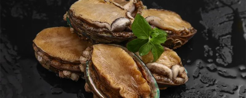 鲍鱼蒸几分钟能熟 鲍鱼蒸多少分钟才能熟
