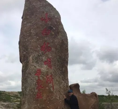 小白杨事件说的是什么啊?谁来普及一下