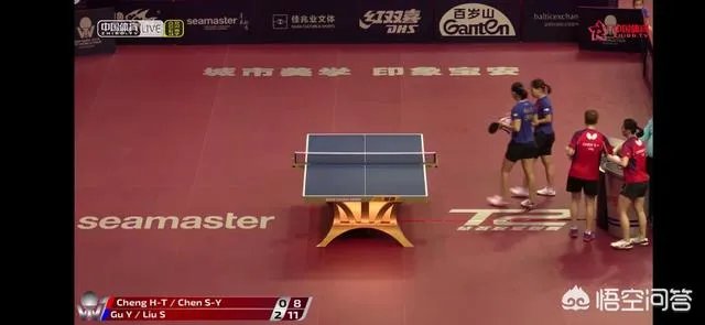 法国乒乓球运动员袁佳楠