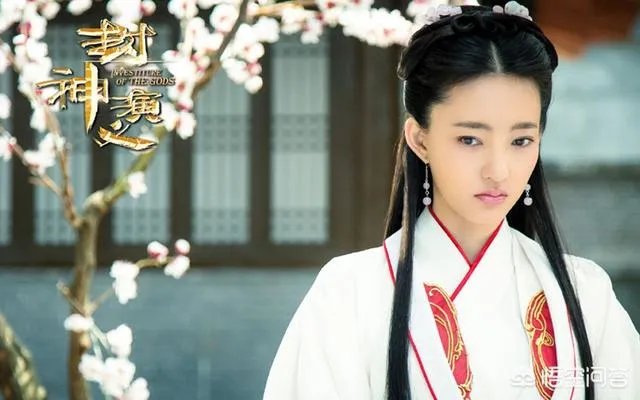 王丽坤是不是史上颜值最低的妲己?