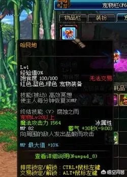 dnf特别宠物礼盒能开到什么dnf特别宠物?