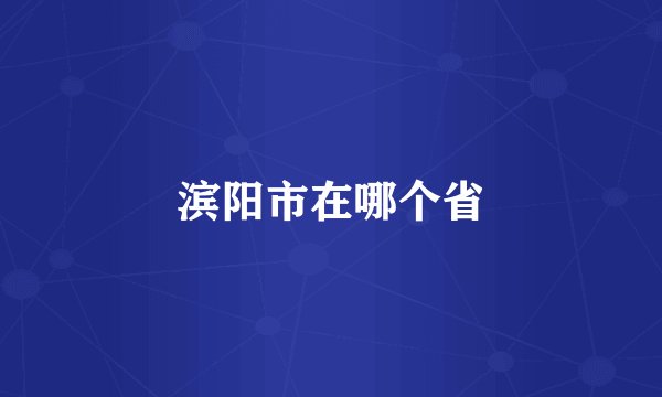 滨阳市在哪个省