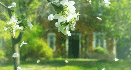 忘年恋是什么意思？