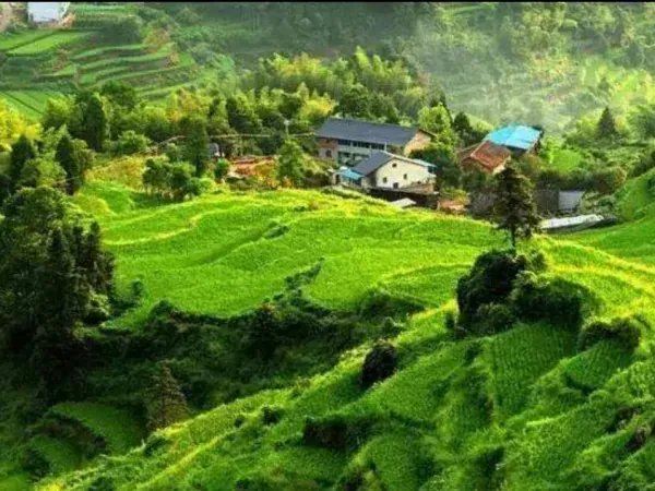 尼日利亚今年雨季洪灾造成超过500人死亡，洪水天气我们需要注意什么？