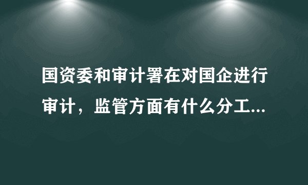 国资委和审计署在对国企进行审计,监管方面有什么分工和联系?