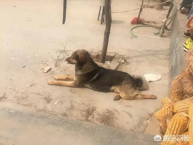 广州中小学教育继续教育不搞会怎样