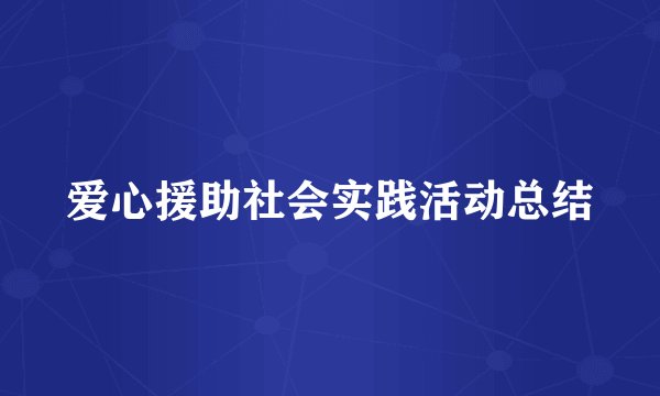 爱心援助社会实践活动总结