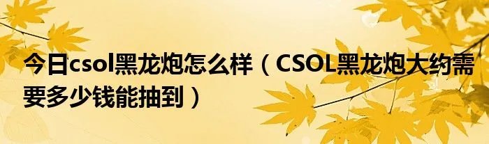 今日csol黑龙炮怎么样（CSOL黑龙炮大约需要多少钱能抽到）