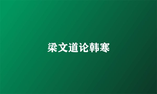 梁文道论韩寒