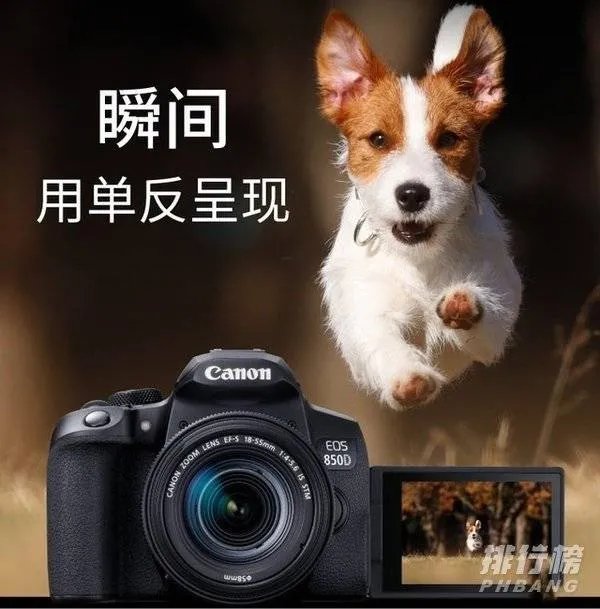 2021入门级单反相机推荐_入门级单反相机十大排行榜