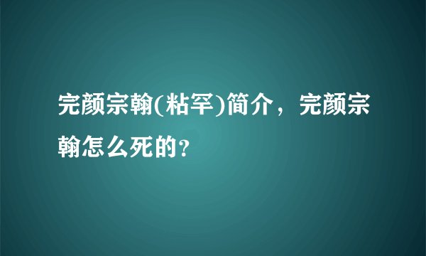 完颜宗翰(粘罕)简介,完颜宗翰怎么死的?