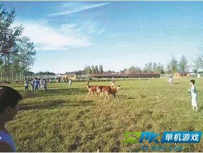 河南学校建动物园 快来动物园世界游戏里亲身体验