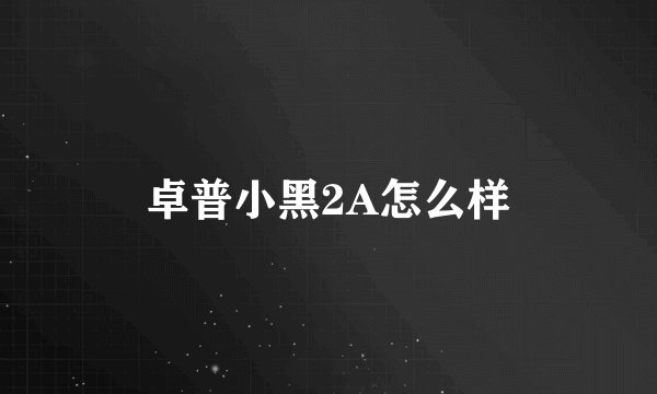 卓普小黑2A怎么样