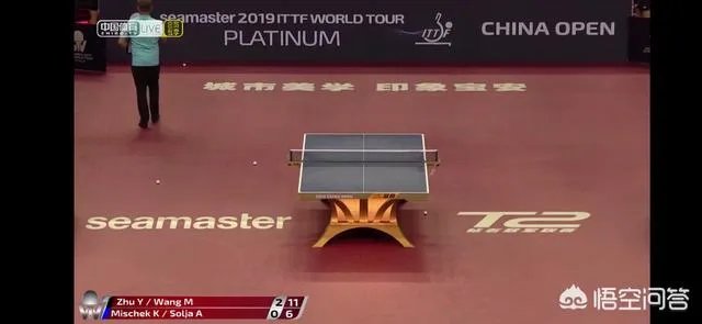 法国乒乓球运动员袁佳楠