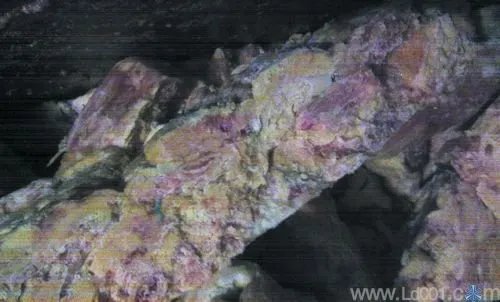 河南超汇烤肠车间环境恶劣 过期肠照用不误(图)