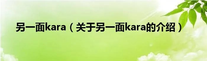 另一面kara（关于另一面kara的介绍）