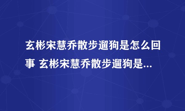 玄彬宋慧乔散步遛狗是怎么回事 玄彬宋慧乔散步遛狗是什么情况