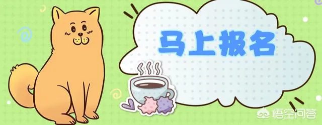 2020年国家公务员考试时间是如何安排的？