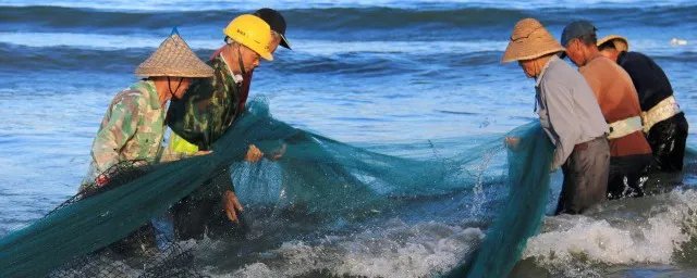 观赏鱼养殖业发展前景