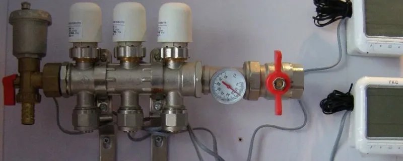 马拉斯木是什么木头