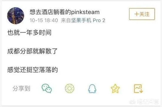 如何看待成立一年的锤子科技成都分公司解散？