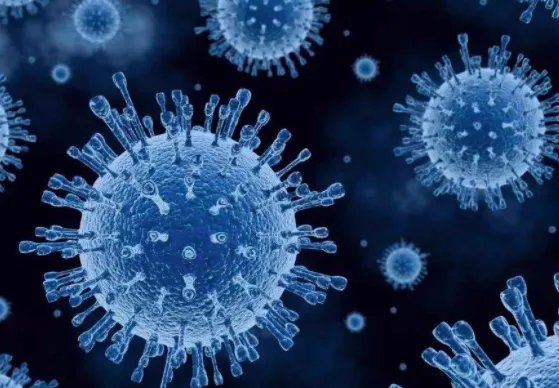 31省份新增51例本土，这些病例涉及到了哪些地方？