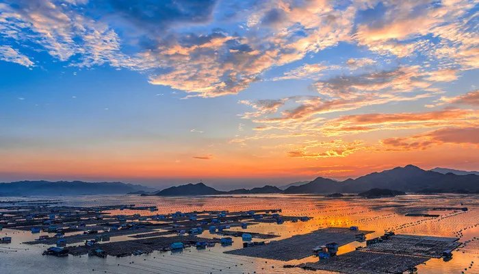 厦门怪坡在哪里 厦门怪坡是在哪里