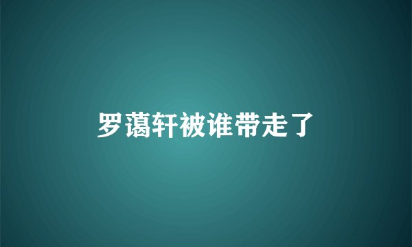 罗蔼轩被谁带走了