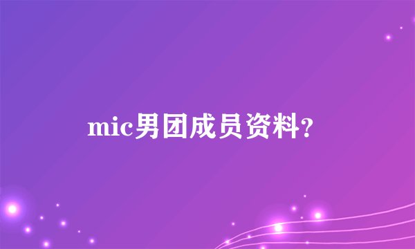mic男团成员资料?