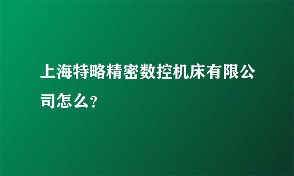 上海特略精密数控机床有限公司怎么？