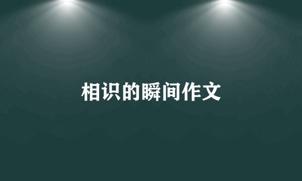 相识的瞬间作文