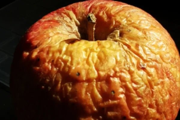 丰满的近反义词