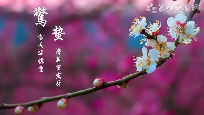 揭秘牙膏尾部的颜色条代表什么