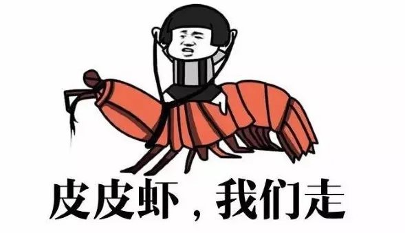 皮皮虾我们走什么意思