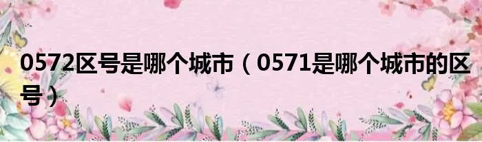 0572区号是哪个城市（0571是哪个城市的区号）