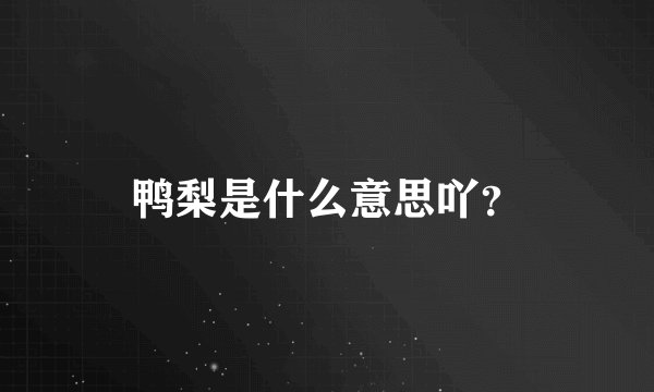 鸭梨是什么意思吖？