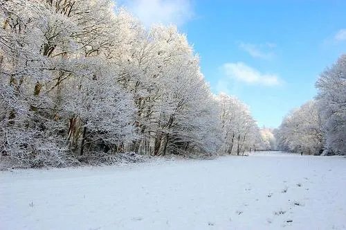 古语说“腊八腊八,冻掉下巴”是什么意思?