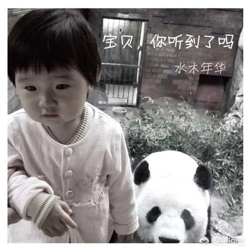 水木年华有哪些好听的歌可以推荐？