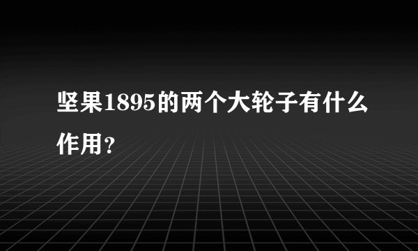 坚果1895的两个大轮子有什么作用?