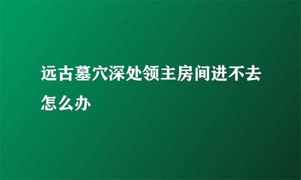 远古墓穴深处领主房间进不去怎么办