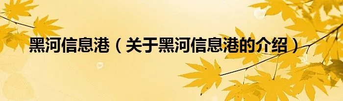 黑河信息港(关于黑河信息港的介绍)