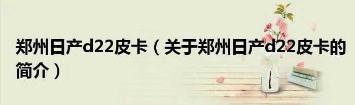 郑州日产d22皮卡（关于郑州日产d22皮卡的简介）