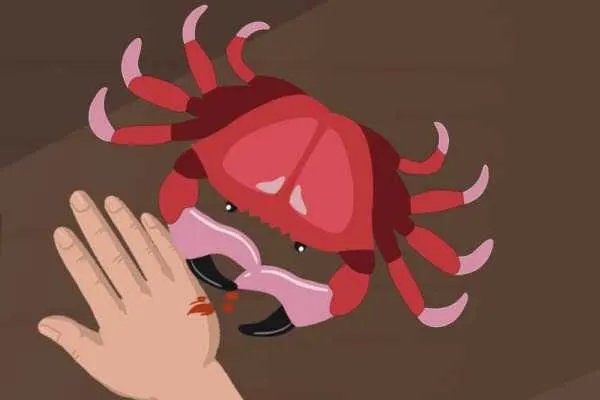 螃蟹里面有寄生虫吗