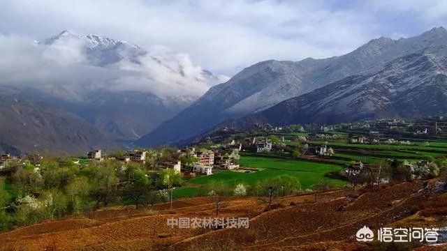 甘孜州丹巴县的特产是什么```？