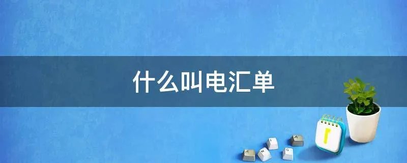 什么叫电汇单