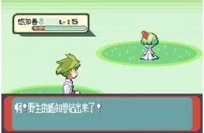 口袋妖怪红宝石详细图文攻略