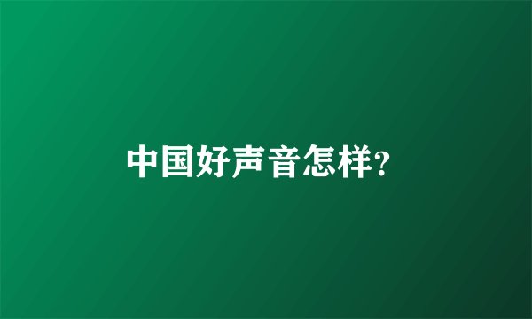 中国好声音怎样？