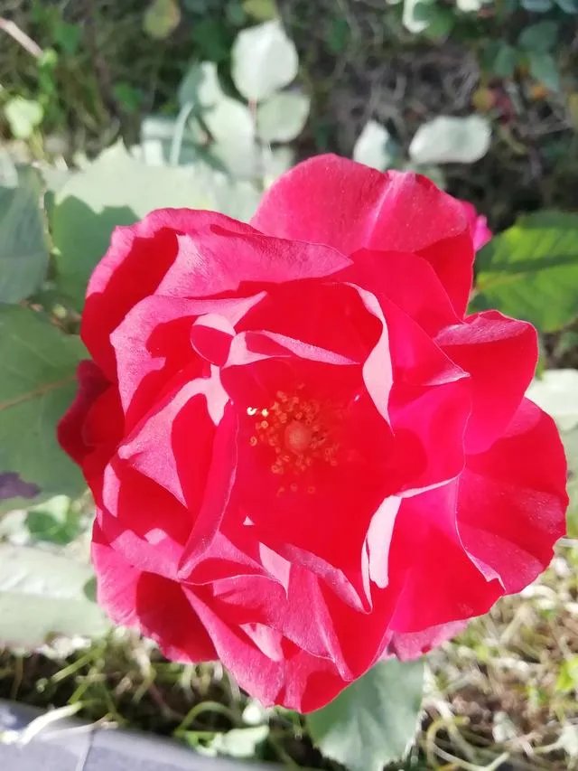 有什么事情是退休了才知道的?