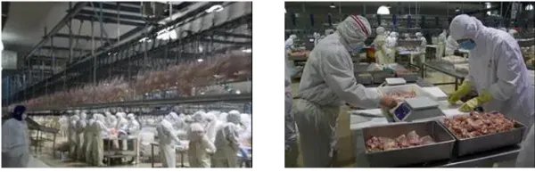 怎么才能加盟汉堡店？需要准备多少钱？